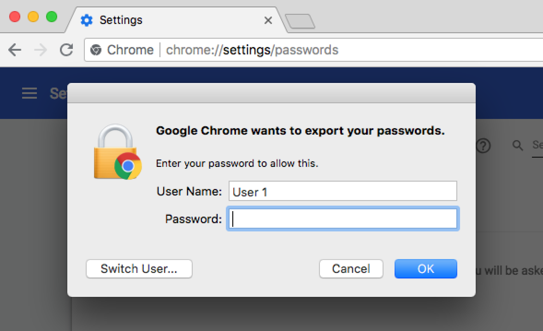 Export Passwords operating system dialog permission